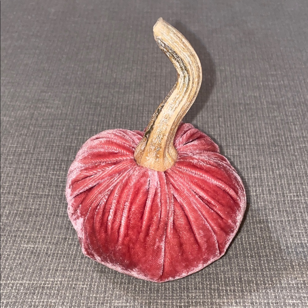 Hot Skwash Pink Velvet Pumpkin with Natural Stem